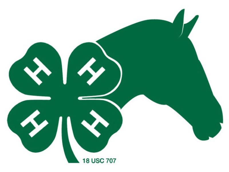 Logo for 2023 Custer / Fall River / Pennington County Horse Show