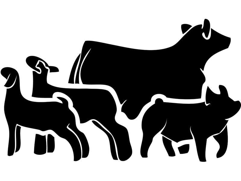 Logo for Randolph County Fair 2023