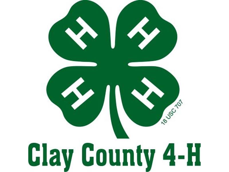 Logo for 2024 Clay County 4-H/FFA Fair