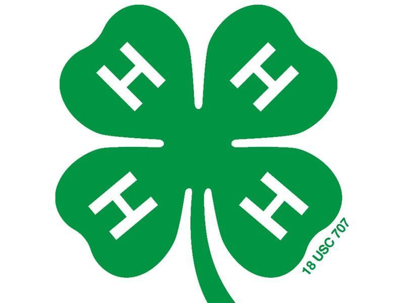 Logo for 2024 Henry County Fair