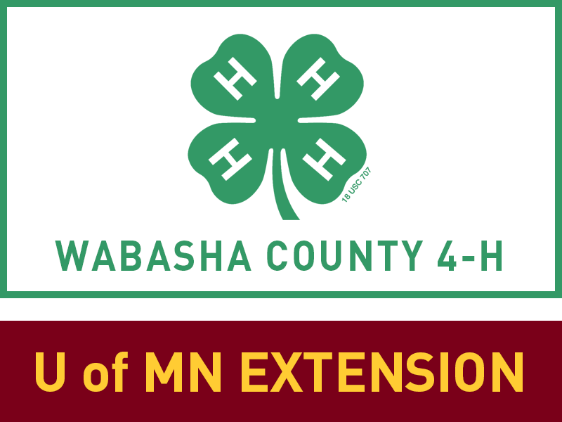 Logo for 2024 Wabasha County Fair