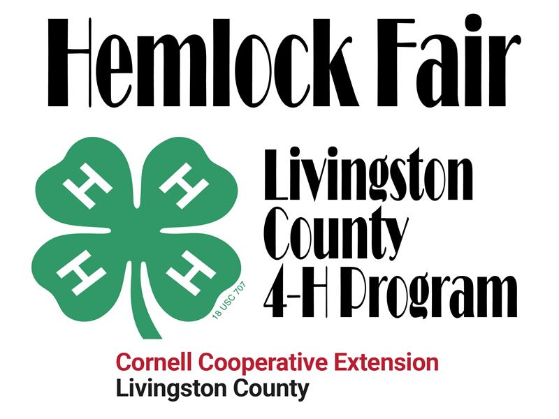 Logo for 2024 Hemlock Fair