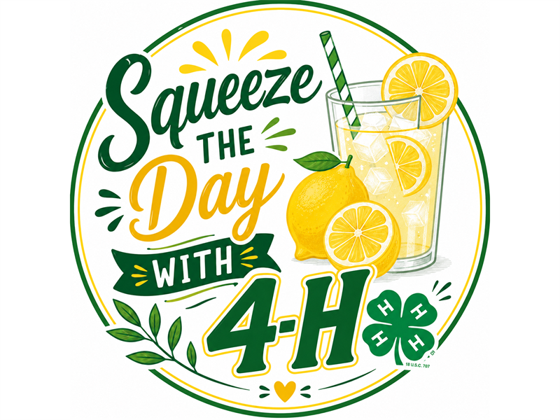 Logo for 2027 Carroll County 4-H Fair